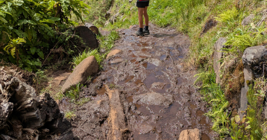 Alfie walks through a muddy section of path.