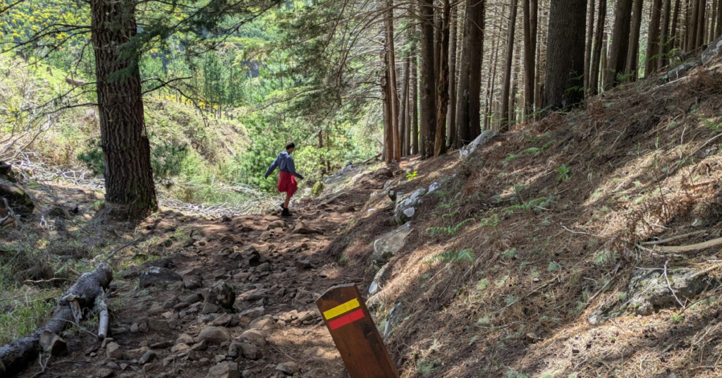 Alfie scrambles down a steep, rocky path.